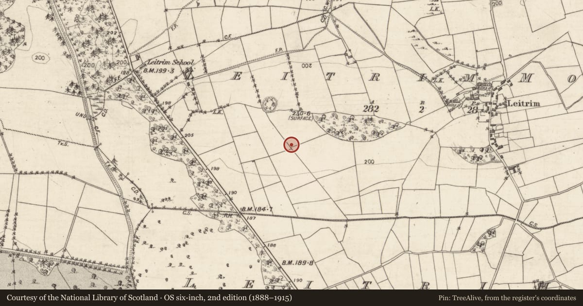 Ordnance Survey six-inch map, 2nd edition (1888–1915) covering the location of Bullaun stone, Leitrim More, County Galway, with a pin at the register's coordinates