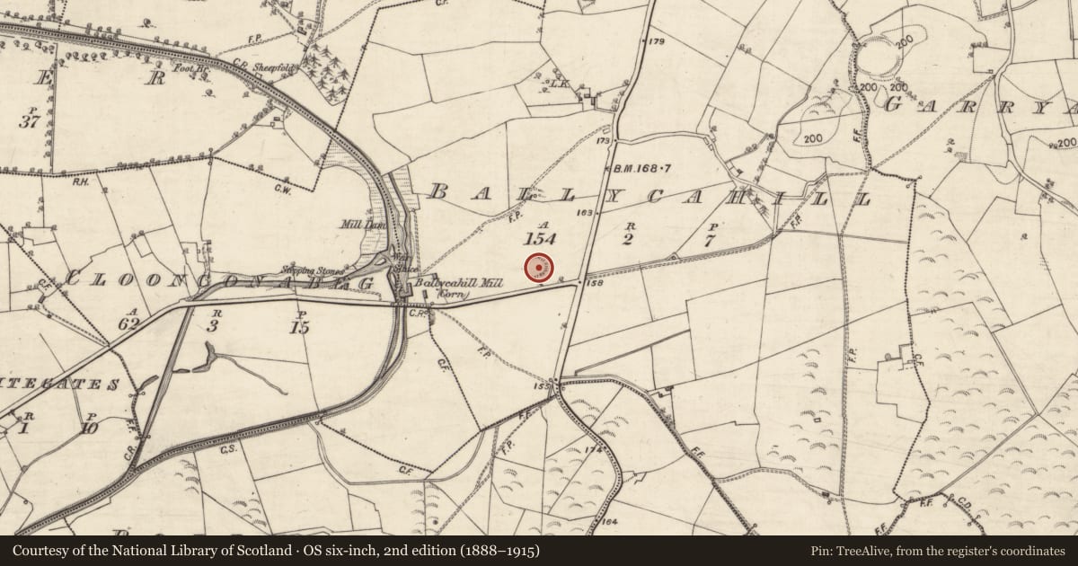 Ordnance Survey six-inch map, 2nd edition (1888–1915) covering the location of Ringfort - rath, Ballycahill, County Galway, with a pin at the register's coordinates