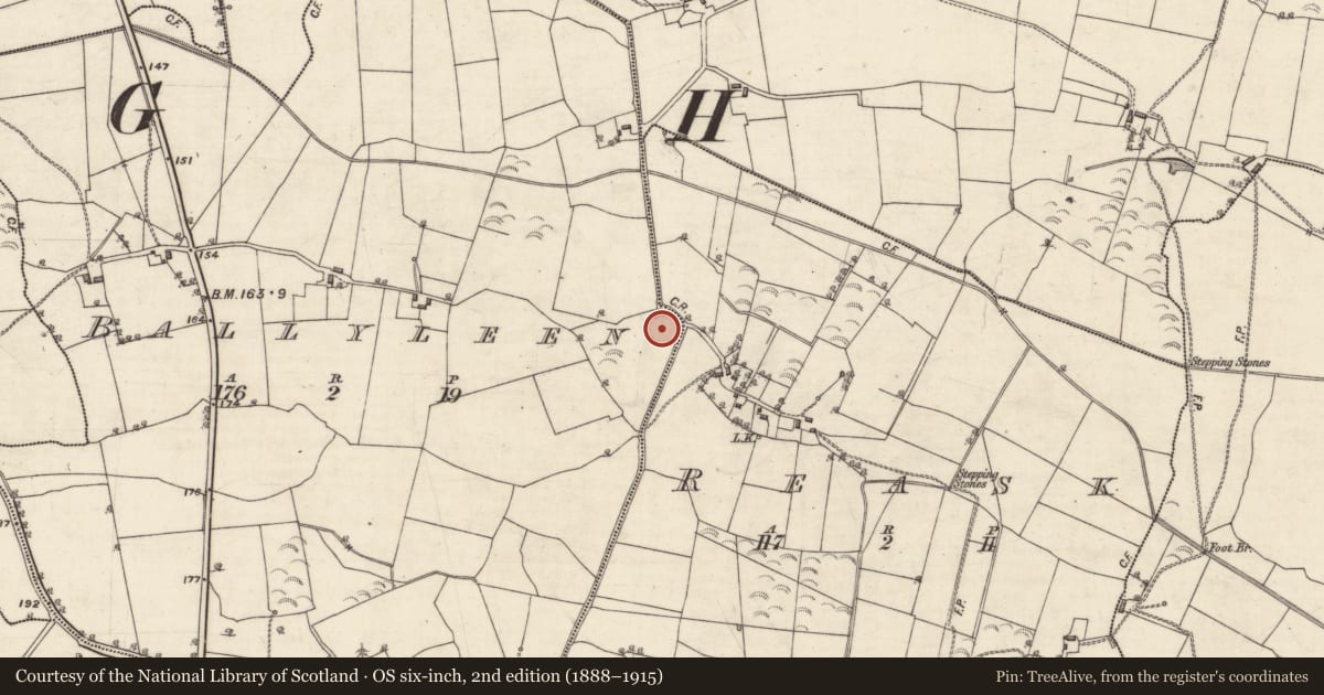 Ordnance Survey six-inch map, 2nd edition (1888–1915) covering the location of Ringfort - rath, Ballyleen, County Galway, with a pin at the register's coordinates