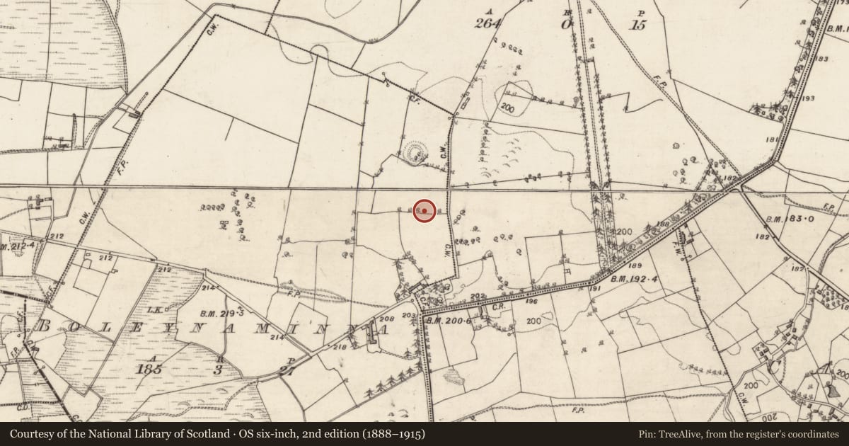 Ordnance Survey six-inch map, 2nd edition (1888–1915) covering the location of Bullaun stone, Boleynaminna, County Galway, with a pin at the register's coordinates