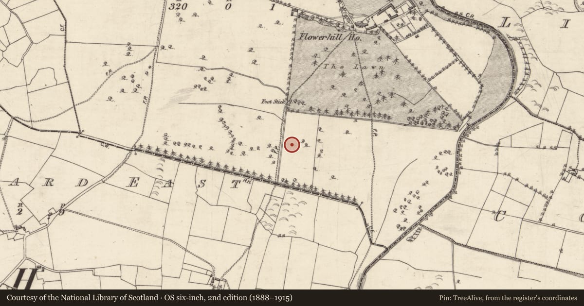 Ordnance Survey six-inch map, 2nd edition (1888–1915) covering the location of Ringfort - rath, Bouluskeagh Or Flowerhill, County Galway, with a pin at the register's coordinates