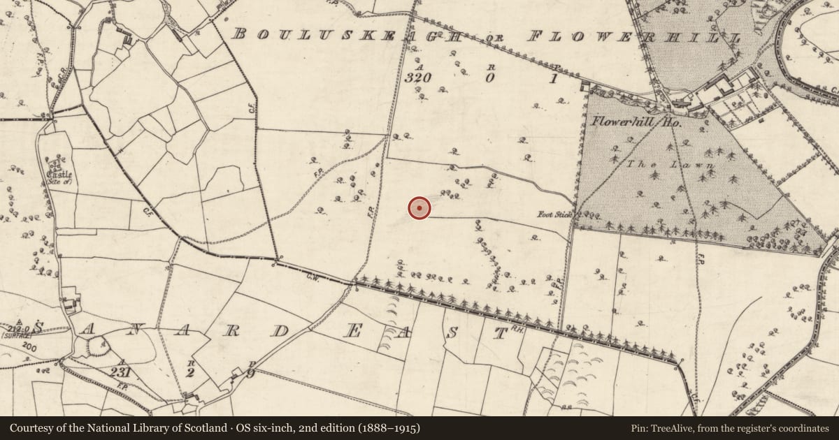 Ordnance Survey six-inch map, 2nd edition (1888–1915) covering the location of House - 18th/19th century, Bouluskeagh Or Flowerhill, County Galway, with a pin at the register's coordinates