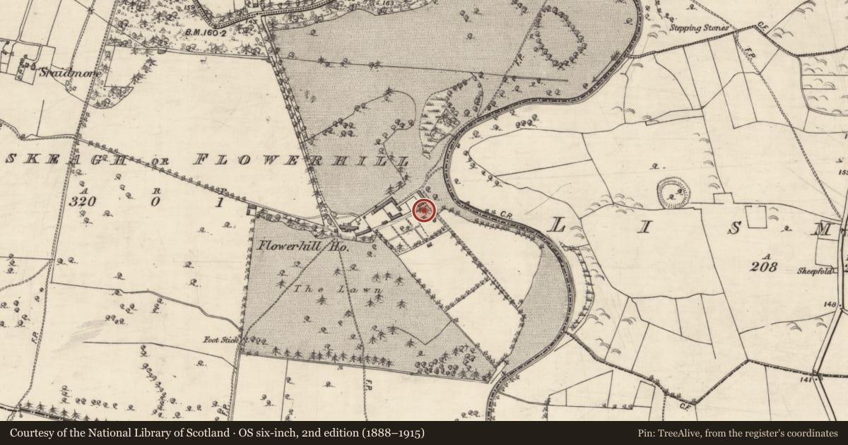 Ordnance Survey six-inch map, 2nd edition (1888–1915) covering the location of Bee-boles, Bouluskeagh Or Flowerhill, County Galway, with a pin at the register's coordinates