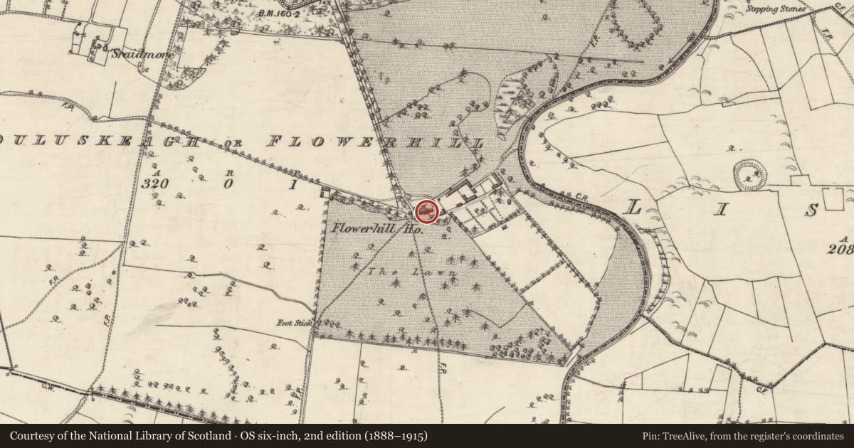Ordnance Survey six-inch map, 2nd edition (1888–1915) covering the location of House - 18th/19th century, Bouluskeagh Or Flowerhill, County Galway, with a pin at the register's coordinates