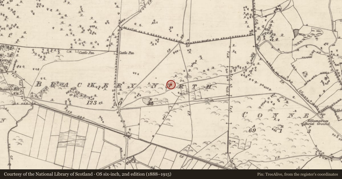 Ordnance Survey six-inch map, 2nd edition (1888–1915) covering the location of Quarry, Brackery North, County Galway, with a pin at the register's coordinates