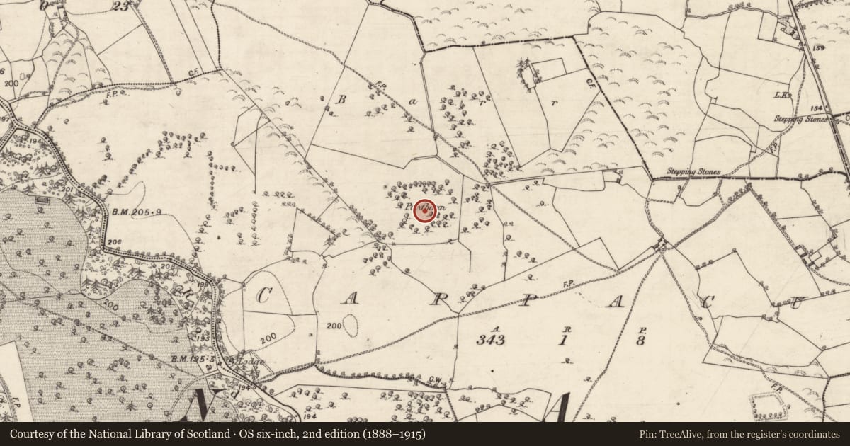 Ordnance Survey six-inch map, 2nd edition (1888–1915) covering the location of Enclosure - large enclosure, Cappacur, County Galway, with a pin at the register's coordinates