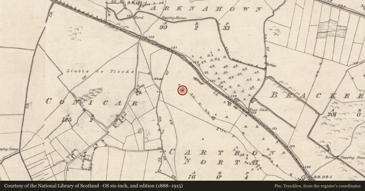 Ordnance Survey six-inch map, 2nd edition (1888–1915) covering the location of Quarry, Cartron North, County Galway, with a pin at the register's coordinates