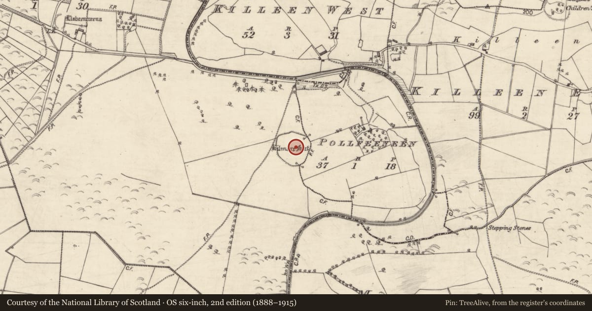 Ordnance Survey six-inch map, 2nd edition (1888–1915) covering the location of Enclosure - large enclosure, Cloonnacusha, Pollfeeneen, County Galway, with a pin at the register's coordinates
