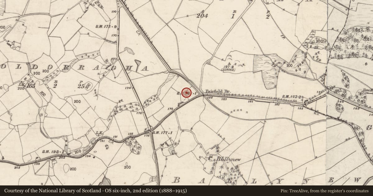 Ordnance Survey six-inch map, 2nd edition (1888–1915) covering the location of Enclosure, Cooldorragha, County Galway, with a pin at the register's coordinates
