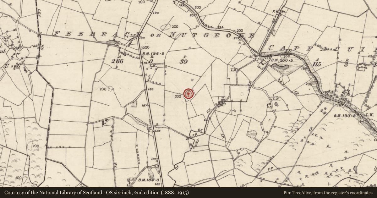Ordnance Survey six-inch map, 2nd edition (1888–1915) covering the location of Ringfort - rath, Feebrack Or Nutgrove, County Galway, with a pin at the register's coordinates