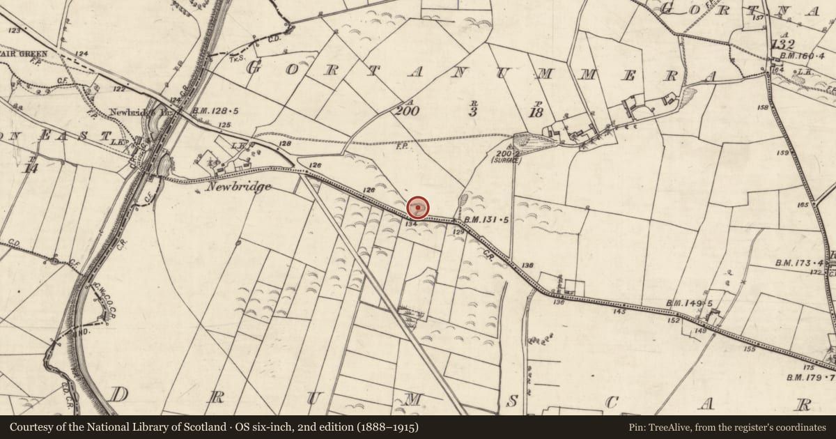 Ordnance Survey six-inch map, 2nd edition (1888–1915) covering the location of Quarry, Gortanummera, County Galway, with a pin at the register's coordinates