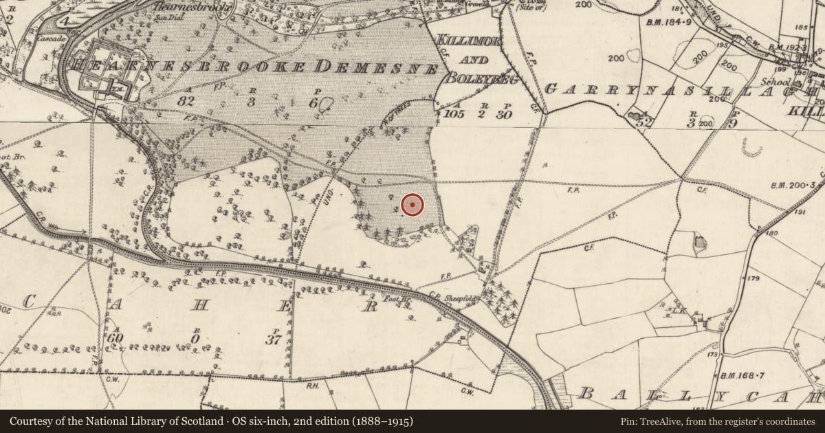 Ordnance Survey six-inch map, 2nd edition (1888–1915) covering the location of Quarry, Hearnesbrooke Demesne, County Galway, with a pin at the register's coordinates