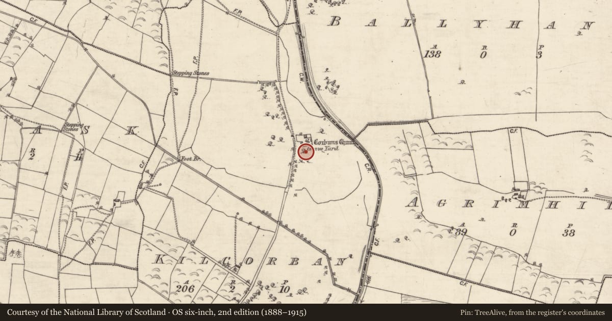 Ordnance Survey six-inch map, 2nd edition (1888–1915) covering the location of Graveyard, Kilcorban, County Galway, with a pin at the register's coordinates