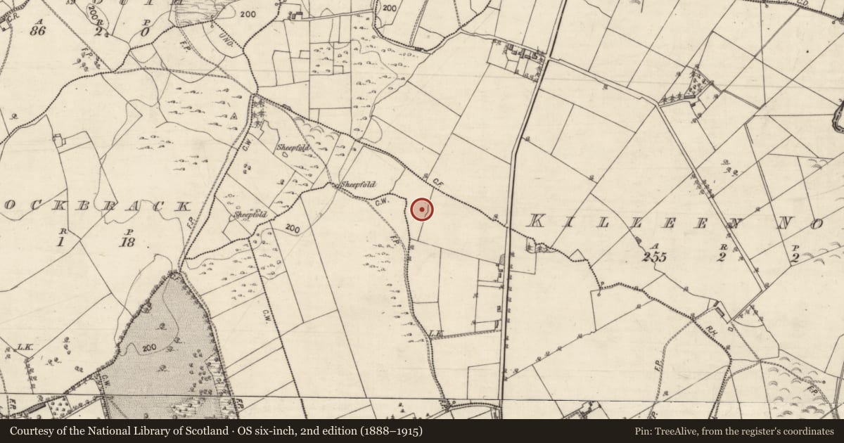Ordnance Survey six-inch map, 2nd edition (1888–1915) covering the location of Designed landscape feature, Killeen South, County Galway, with a pin at the register's coordinates