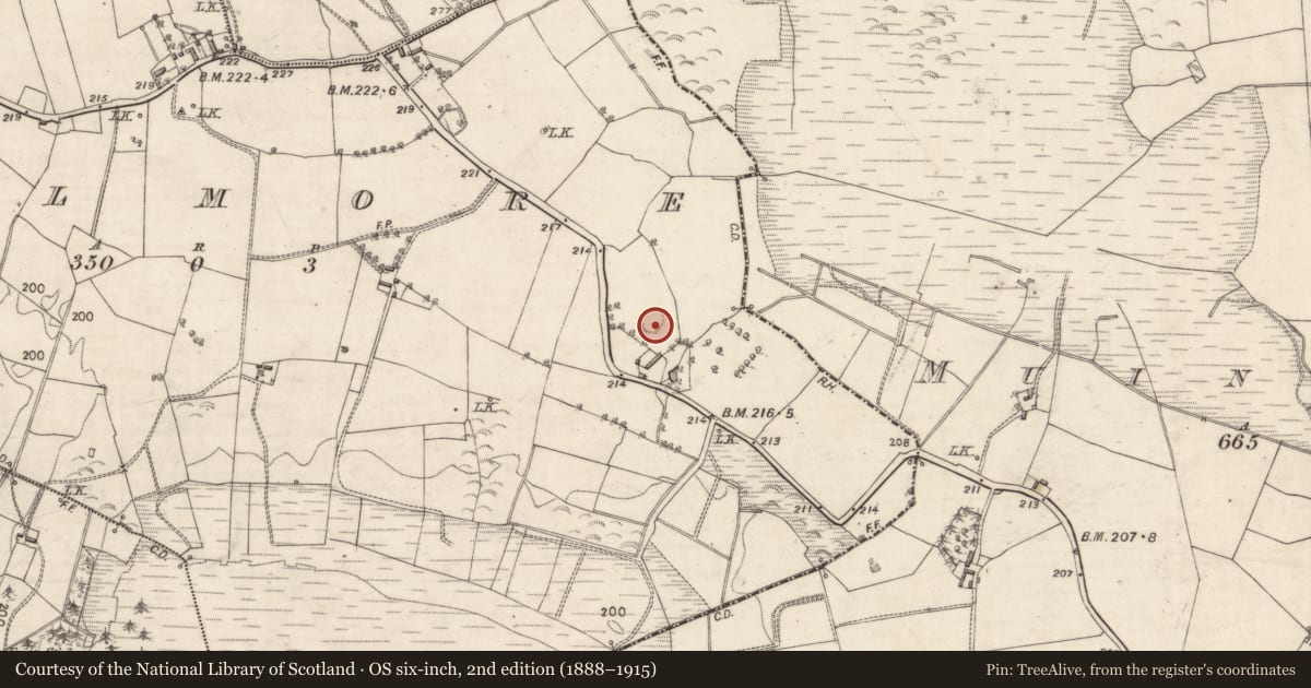 Ordnance Survey six-inch map, 2nd edition (1888–1915) covering the location of Enclosure, Kilmore, County Galway, with a pin at the register's coordinates