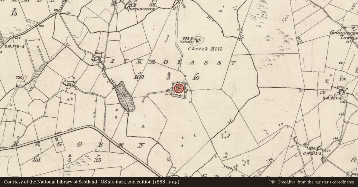 Ordnance Survey six-inch map, 2nd edition (1888–1915) covering the location of Graveyard, Lickmolassy, County Galway, with a pin at the register's coordinates