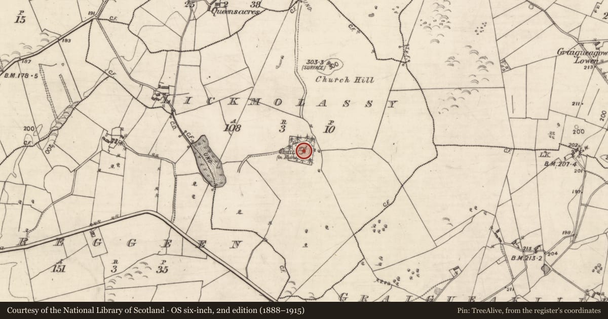 Ordnance Survey six-inch map, 2nd edition (1888–1915) covering the location of Graveslab, Lickmolassy, County Galway, with a pin at the register's coordinates