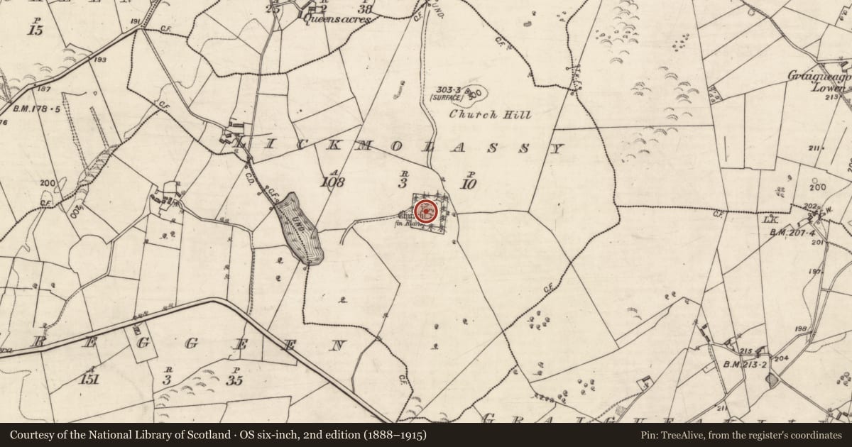 Ordnance Survey six-inch map, 2nd edition (1888–1915) covering the location of Graveslab, Lickmolassy, County Galway, with a pin at the register's coordinates