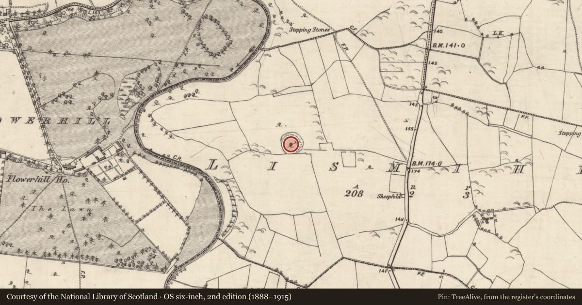Ordnance Survey six-inch map, 2nd edition (1888–1915) covering the location of Ringfort - rath, Lismihill, County Galway, with a pin at the register's coordinates