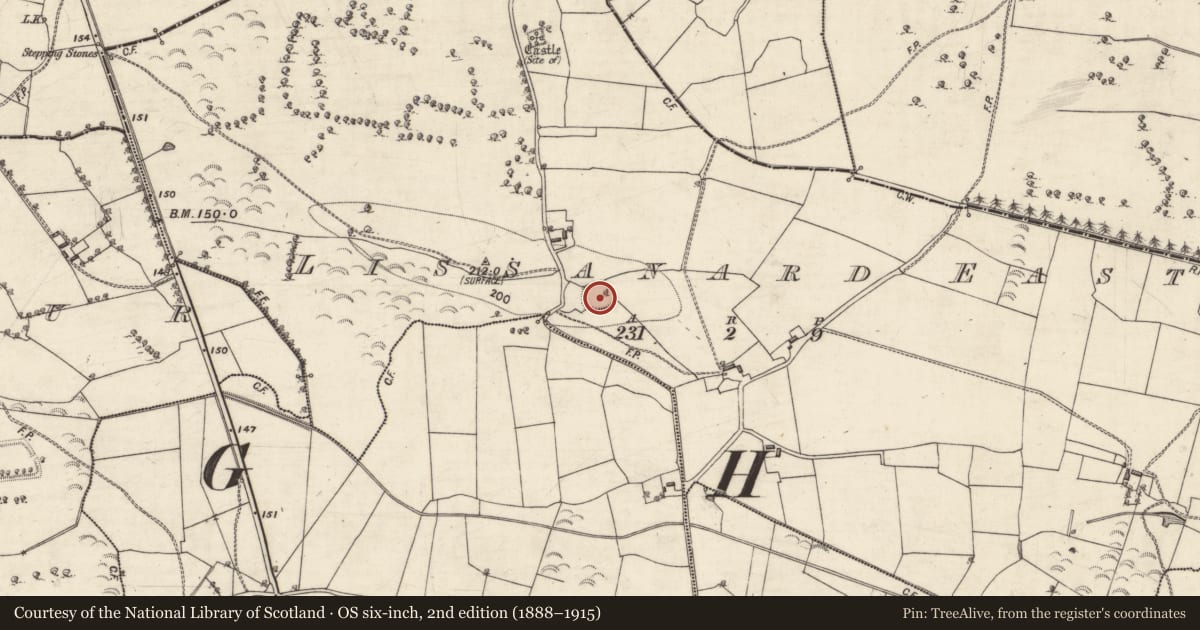 Ordnance Survey six-inch map, 2nd edition (1888–1915) covering the location of Ringfort - rath, Lissanard East, County Galway, with a pin at the register's coordinates