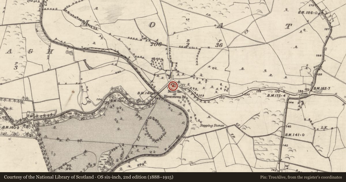 Ordnance Survey six-inch map, 2nd edition (1888–1915) covering the location of Castle - motte and bailey, Moat, County Galway, with a pin at the register's coordinates