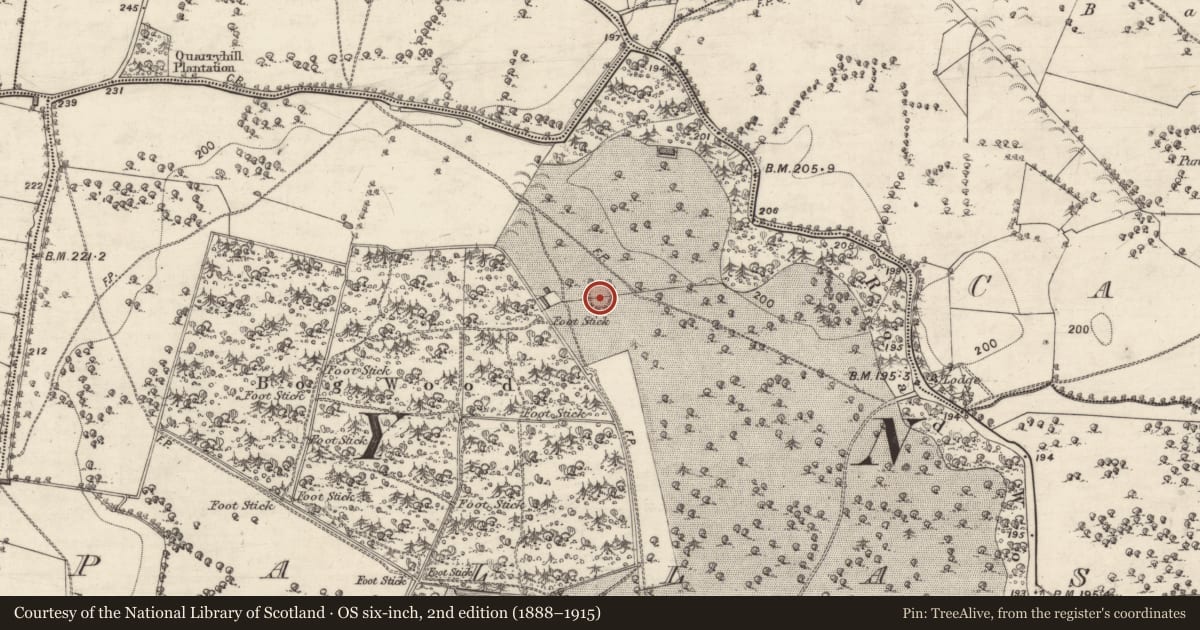 Ordnance Survey six-inch map, 2nd edition (1888–1915) covering the location of Ringfort - rath, Pallas, County Galway, with a pin at the register's coordinates