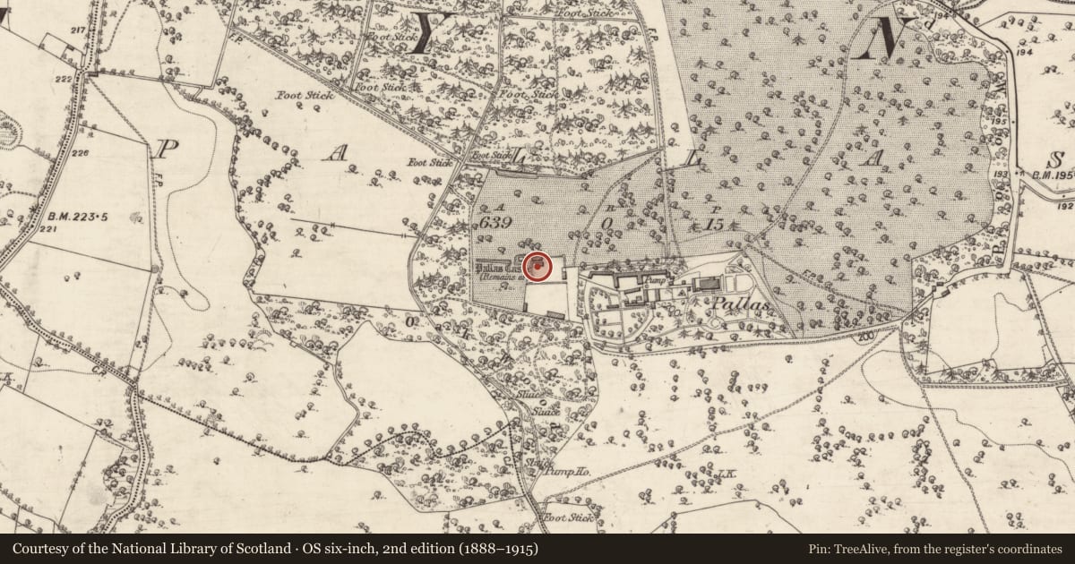 Ordnance Survey six-inch map, 2nd edition (1888–1915) covering the location of Castle - tower house, Pallas, County Galway, with a pin at the register's coordinates