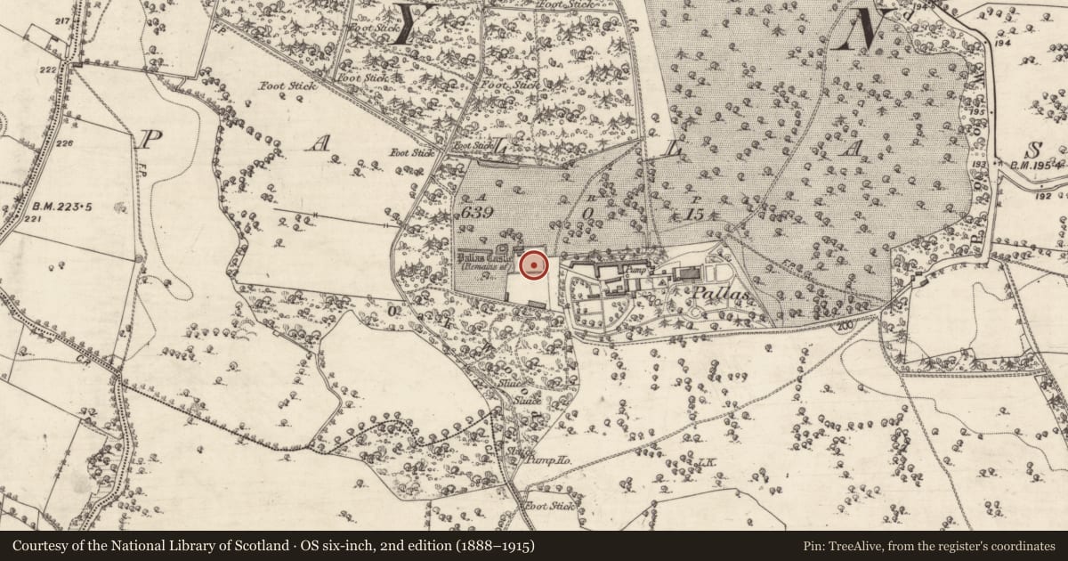 Ordnance Survey six-inch map, 2nd edition (1888–1915) covering the location of Maltings, Pallas, County Galway, with a pin at the register's coordinates