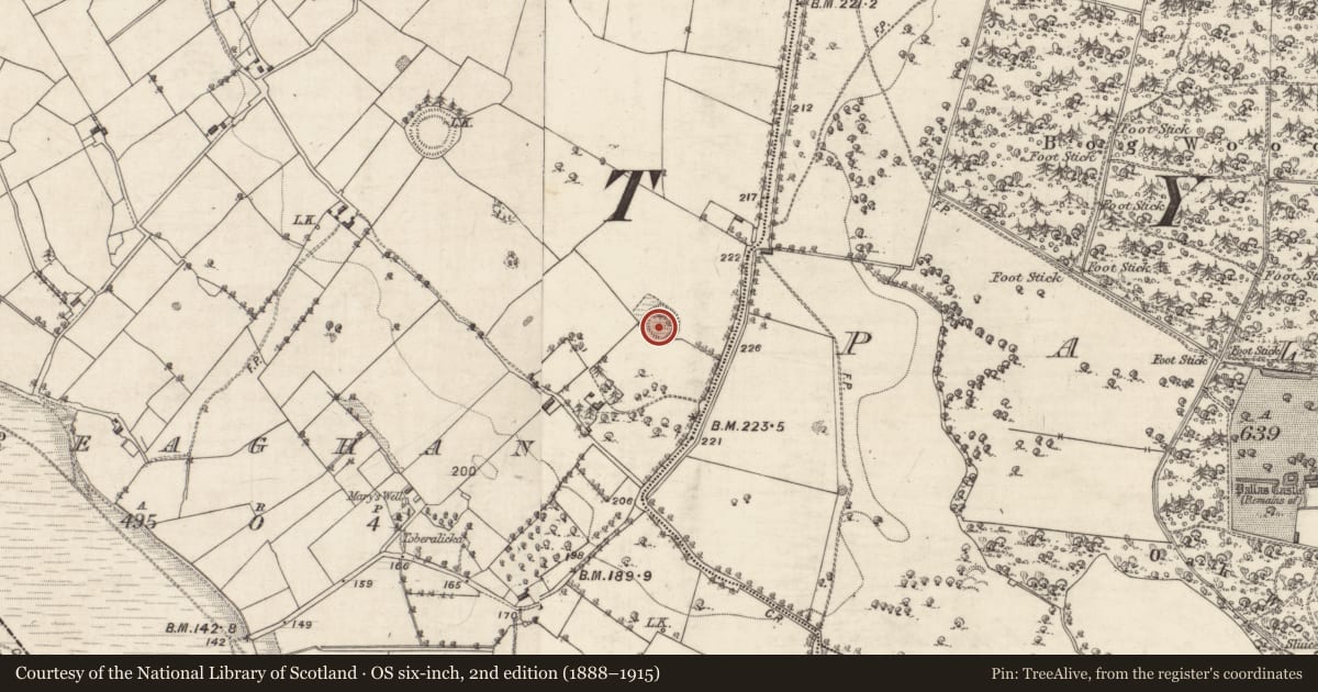 Ordnance Survey six-inch map, 2nd edition (1888–1915) covering the location of Souterrain, Reaghan, County Galway, with a pin at the register's coordinates