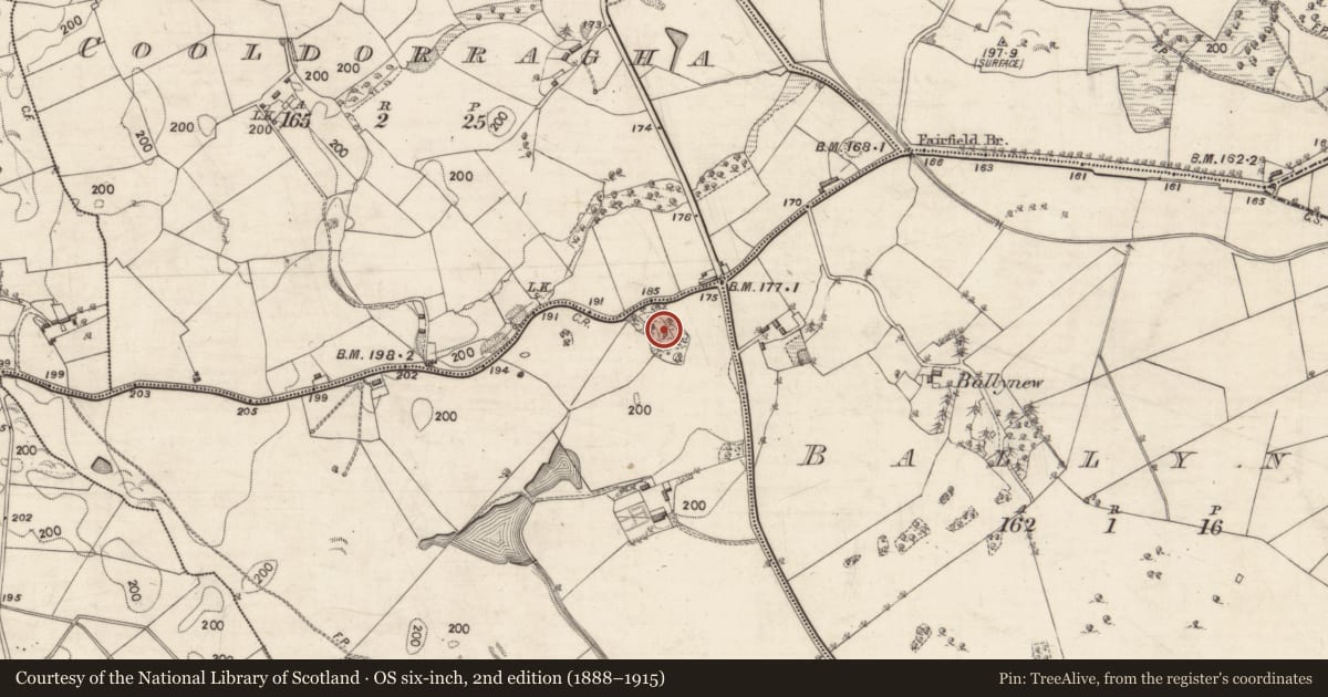 Ordnance Survey six-inch map, 2nd edition (1888–1915) covering the location of Designed landscape feature, Thornfield, County Galway, with a pin at the register's coordinates