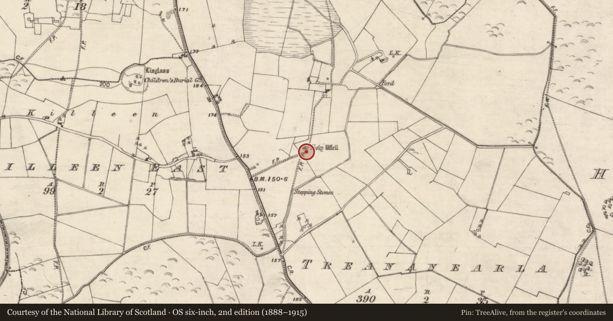 Ordnance Survey six-inch map, 2nd edition (1888–1915) covering the location of Bullaun stone, Treananearla, County Galway, with a pin at the register's coordinates