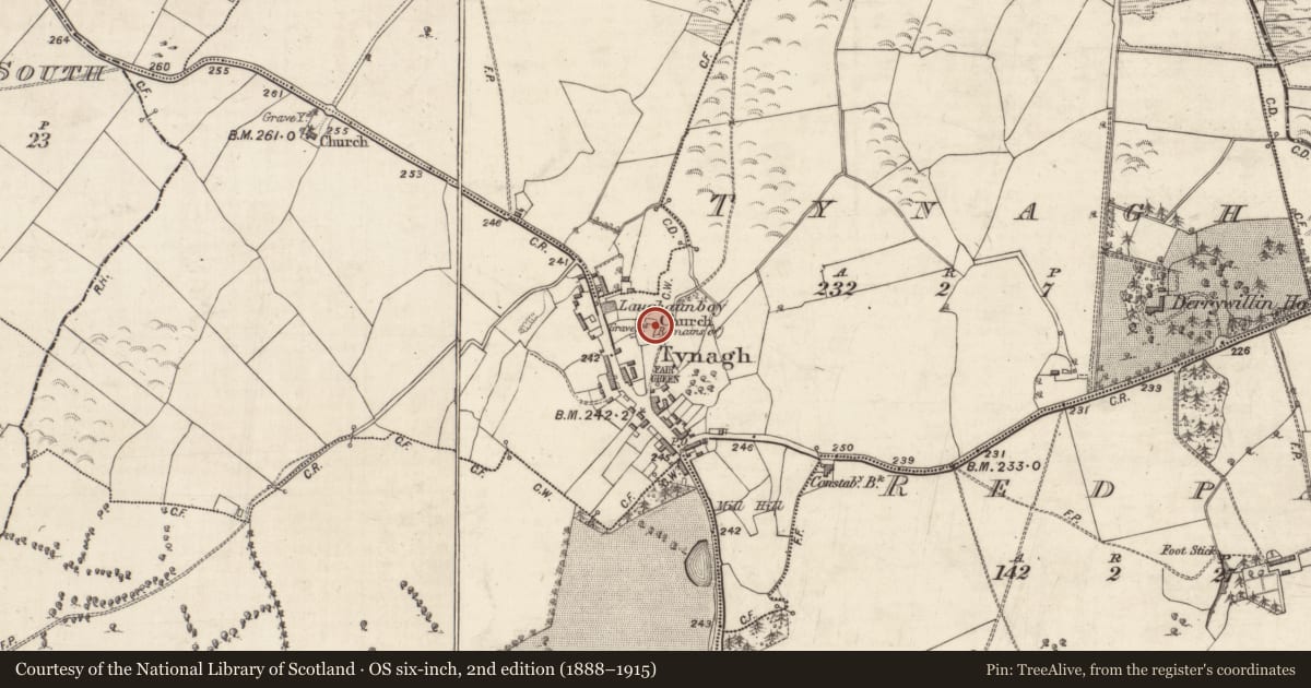Ordnance Survey six-inch map, 2nd edition (1888–1915) covering the location of Graveyard, Tynagh, County Galway, with a pin at the register's coordinates