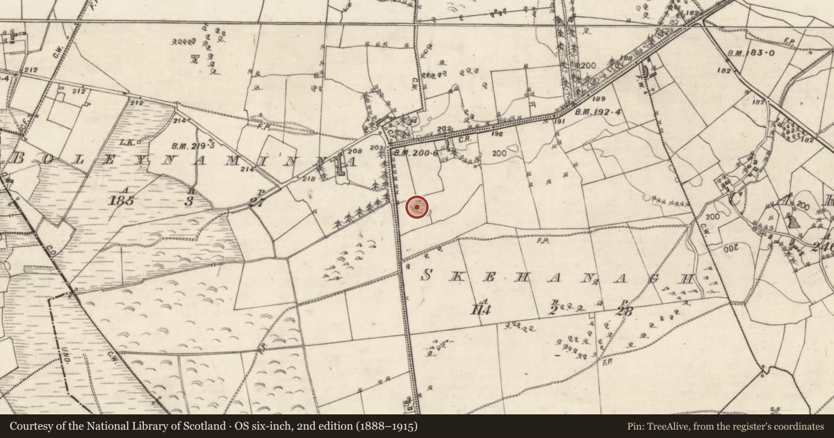 Ordnance Survey six-inch map, 2nd edition (1888–1915) covering the location of Quarry, Skehanagh, County Galway, with a pin at the register's coordinates