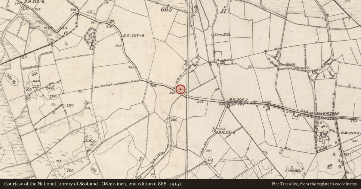 Ordnance Survey six-inch map, 2nd edition (1888–1915) covering the location of Fulacht fia, Muingbaun, County Galway, with a pin at the register's coordinates