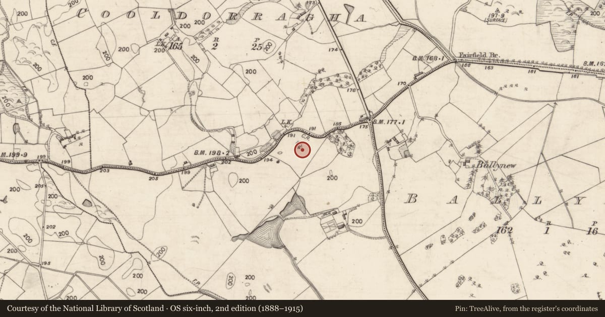 Ordnance Survey six-inch map, 2nd edition (1888–1915) covering the location of Mound, Thornfield, County Galway, with a pin at the register's coordinates