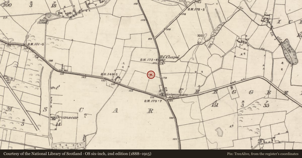 Ordnance Survey six-inch map, 2nd edition (1888–1915) covering the location of Bullaun stone, Gortanummera, County Galway, with a pin at the register's coordinates