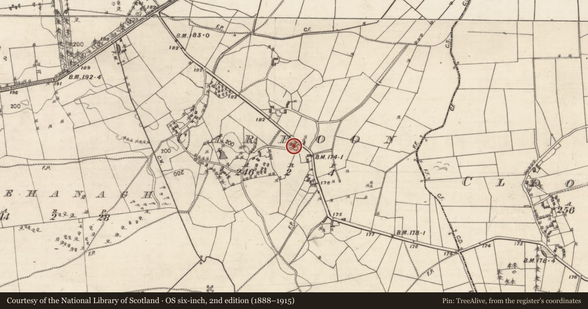 Ordnance Survey six-inch map, 2nd edition (1888–1915) covering the location of Bullaun stone (present location), Carhoon, County Galway, with a pin at the register's coordinates