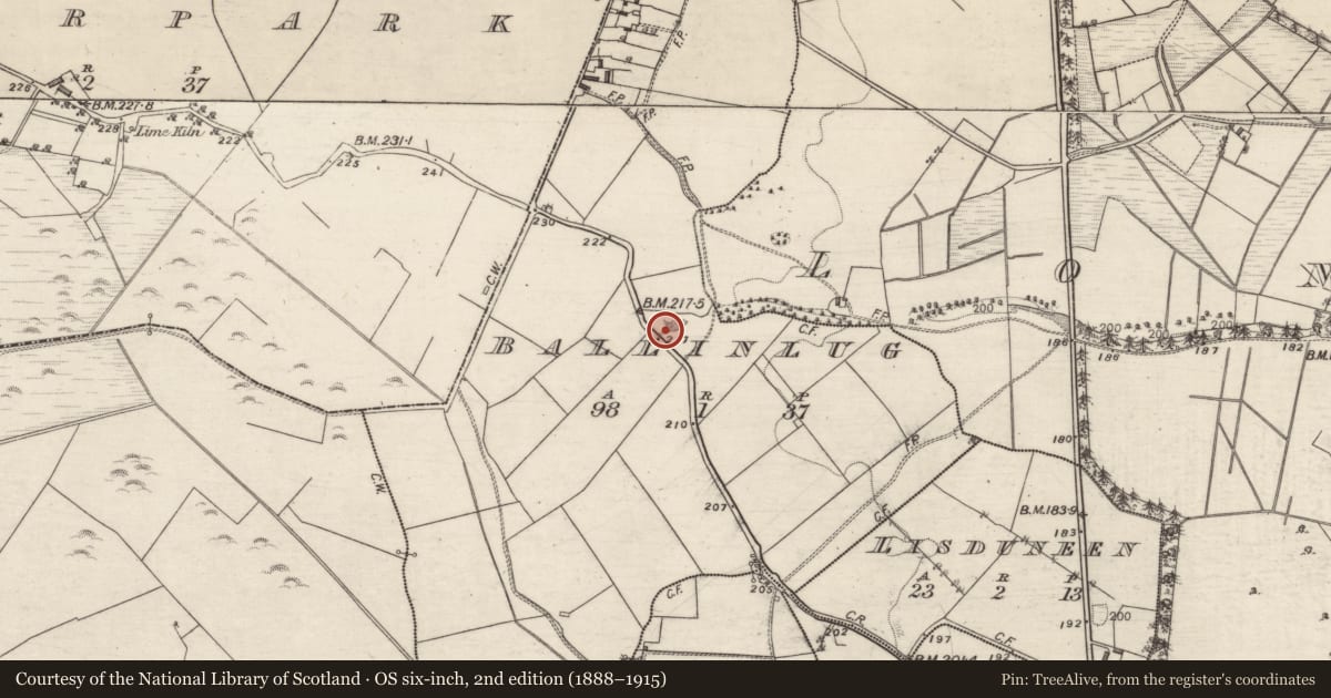 Ordnance Survey six-inch map, 2nd edition (1888–1915) covering the location of Quarry, Ballinlug, County Galway, with a pin at the register's coordinates