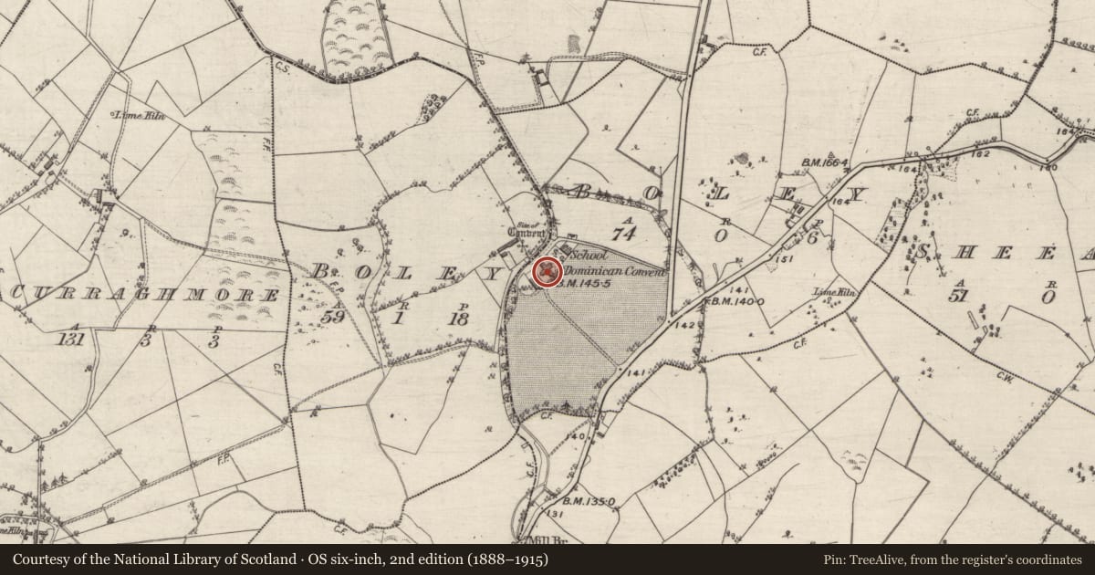 Ordnance Survey six-inch map, 2nd edition (1888–1915) covering the location of Church, Boley, County Galway, with a pin at the register's coordinates