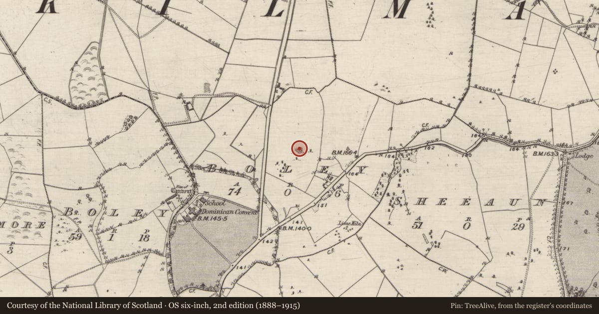 Ordnance Survey six-inch map, 2nd edition (1888–1915) covering the location of Quarry, Boley, County Galway, with a pin at the register's coordinates