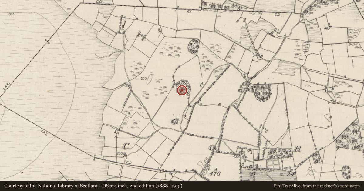 Ordnance Survey six-inch map, 2nd edition (1888–1915) covering the location of Ringfort - rath, Corr, County Galway, with a pin at the register's coordinates