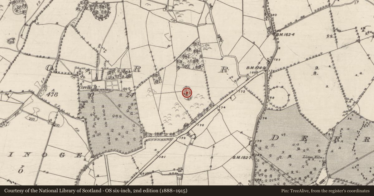Ordnance Survey six-inch map, 2nd edition (1888–1915) covering the location of Designed landscape feature, Corr, County Galway, with a pin at the register's coordinates