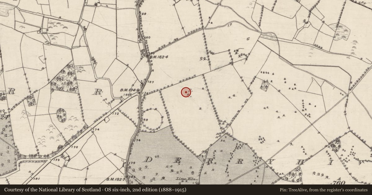 Ordnance Survey six-inch map, 2nd edition (1888–1915) covering the location of Standing stone, Derryhiveny North, County Galway, with a pin at the register's coordinates