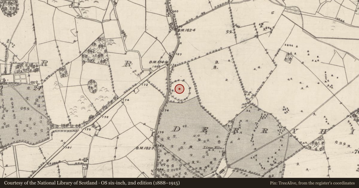 Ordnance Survey six-inch map, 2nd edition (1888–1915) covering the location of Ecclesiastical enclosure, Derryhiveny North, County Galway, with a pin at the register's coordinates
