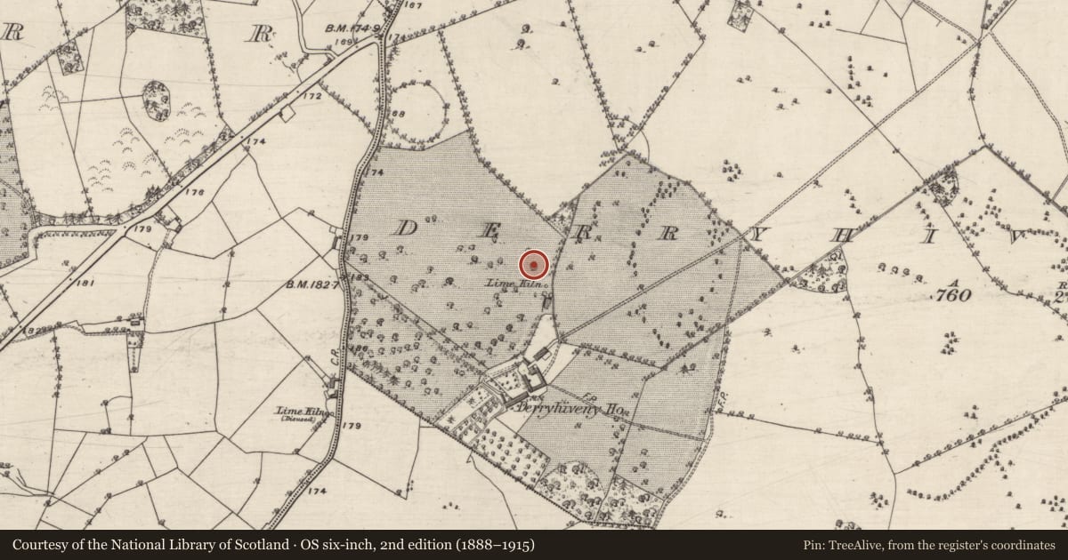 Ordnance Survey six-inch map, 2nd edition (1888–1915) covering the location of Quarry, Derryhiveny North, County Galway, with a pin at the register's coordinates