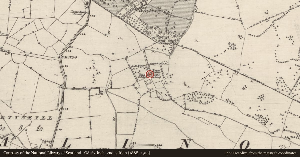 Ordnance Survey six-inch map, 2nd edition (1888–1915) covering the location of Bawn, Derryhiveny South, County Galway, with a pin at the register's coordinates