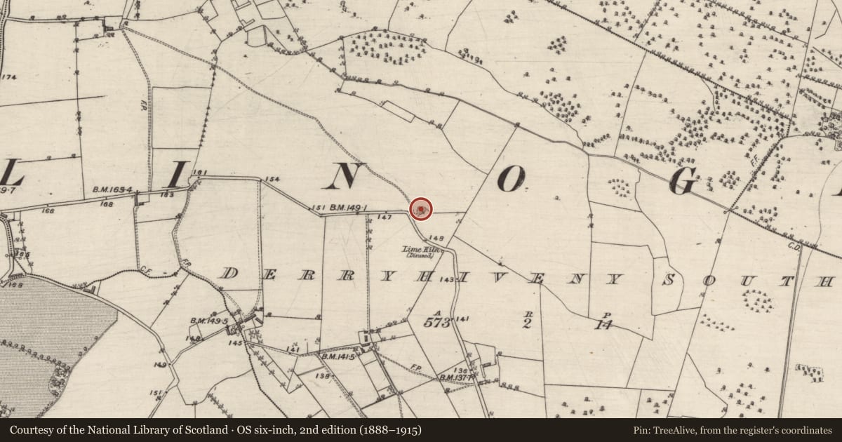 Ordnance Survey six-inch map, 2nd edition (1888–1915) covering the location of Quarry, Derryhiveny South, County Galway, with a pin at the register's coordinates