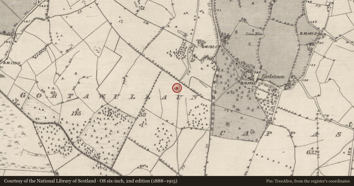 Ordnance Survey six-inch map, 2nd edition (1888–1915) covering the location of Quarry, Gortawullaun, County Galway, with a pin at the register's coordinates