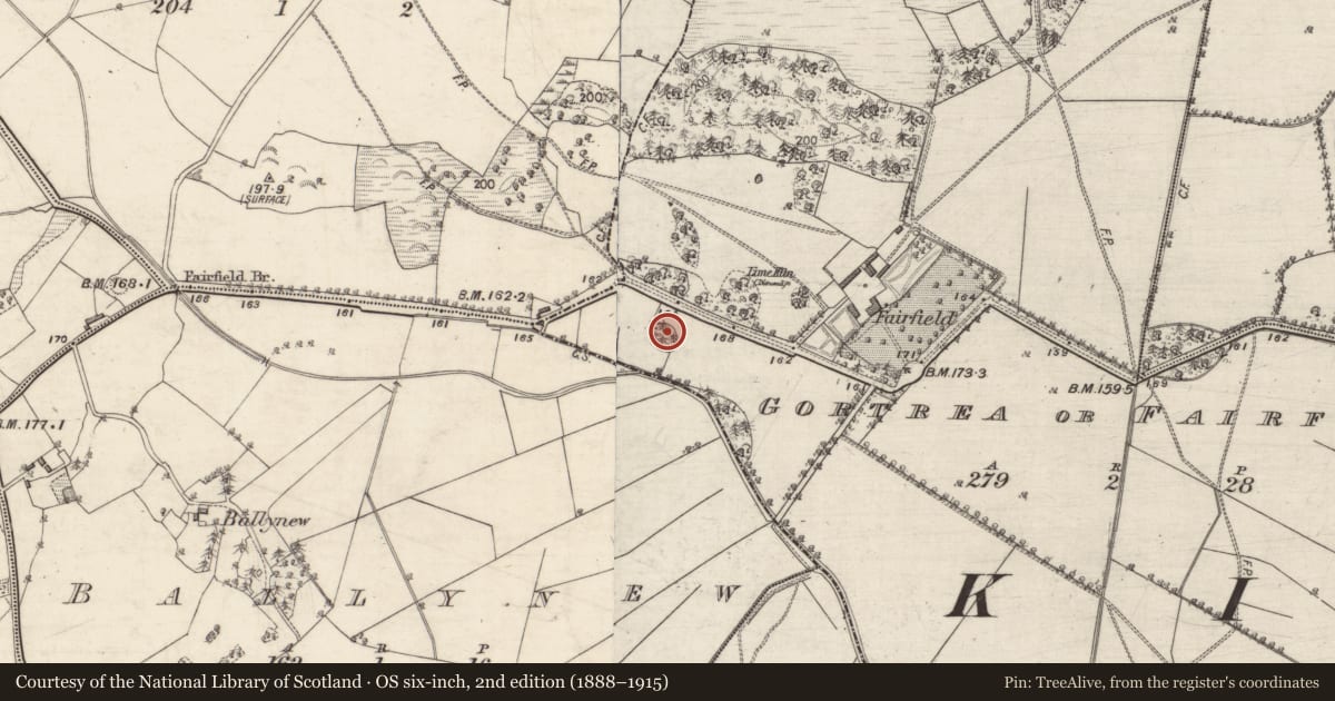 Ordnance Survey six-inch map, 2nd edition (1888–1915) covering the location of Designed landscape feature, Gortrea Or Fairfield, County Galway, with a pin at the register's coordinates