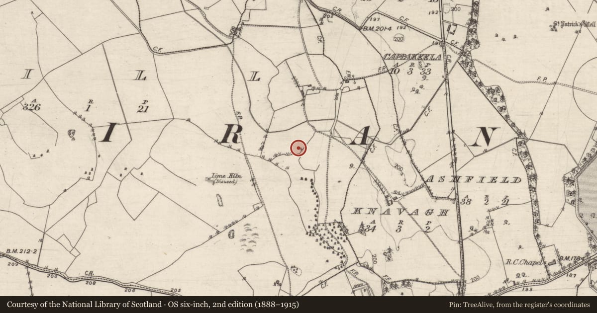 Ordnance Survey six-inch map, 2nd edition (1888–1915) covering the location of Quarry, Kill, County Galway, with a pin at the register's coordinates